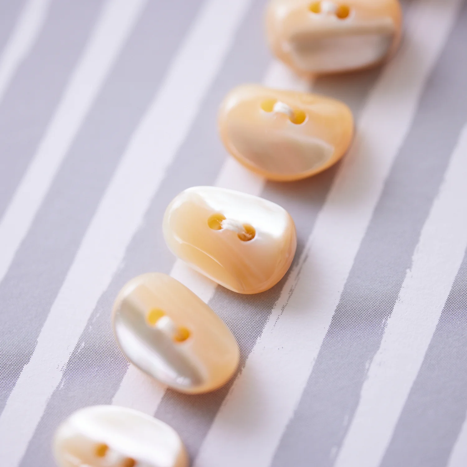 4nov Shell Buttons [Coffee Beans Trocas Shell / 15mm] LPS-070 - Image 3