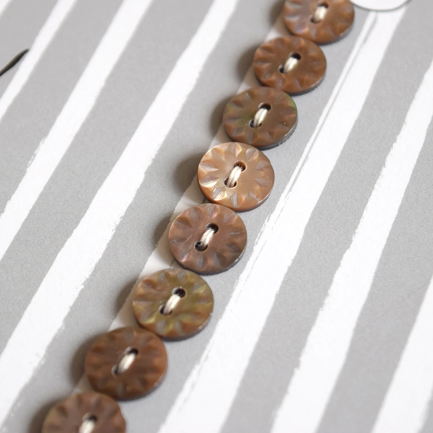4nov Shell Buttons [Round Black-lip Shell / 10mm] LPS-074 - Image 4