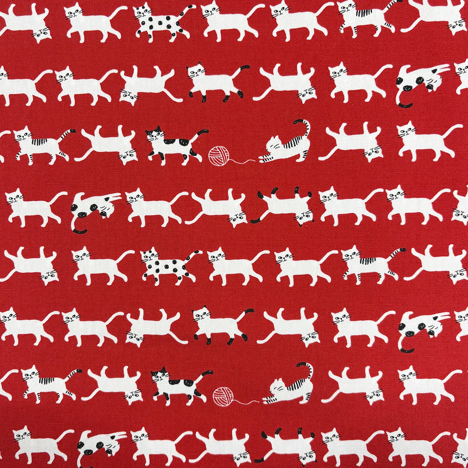 Simply Palette Cat Prints Cotton Oxford - Red YPA-69010-1