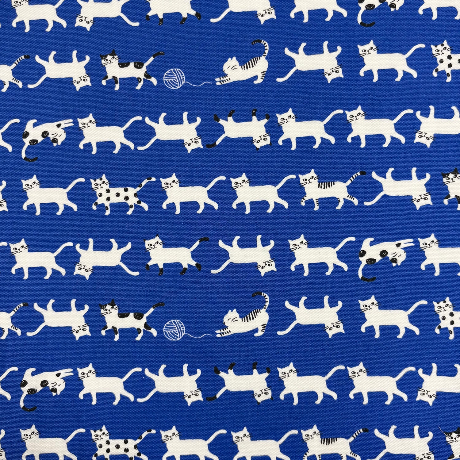 Simply Palette Cat Prints Cotton Oxford - Blue YPA-69010-1